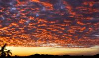 Wednesday Sunset
